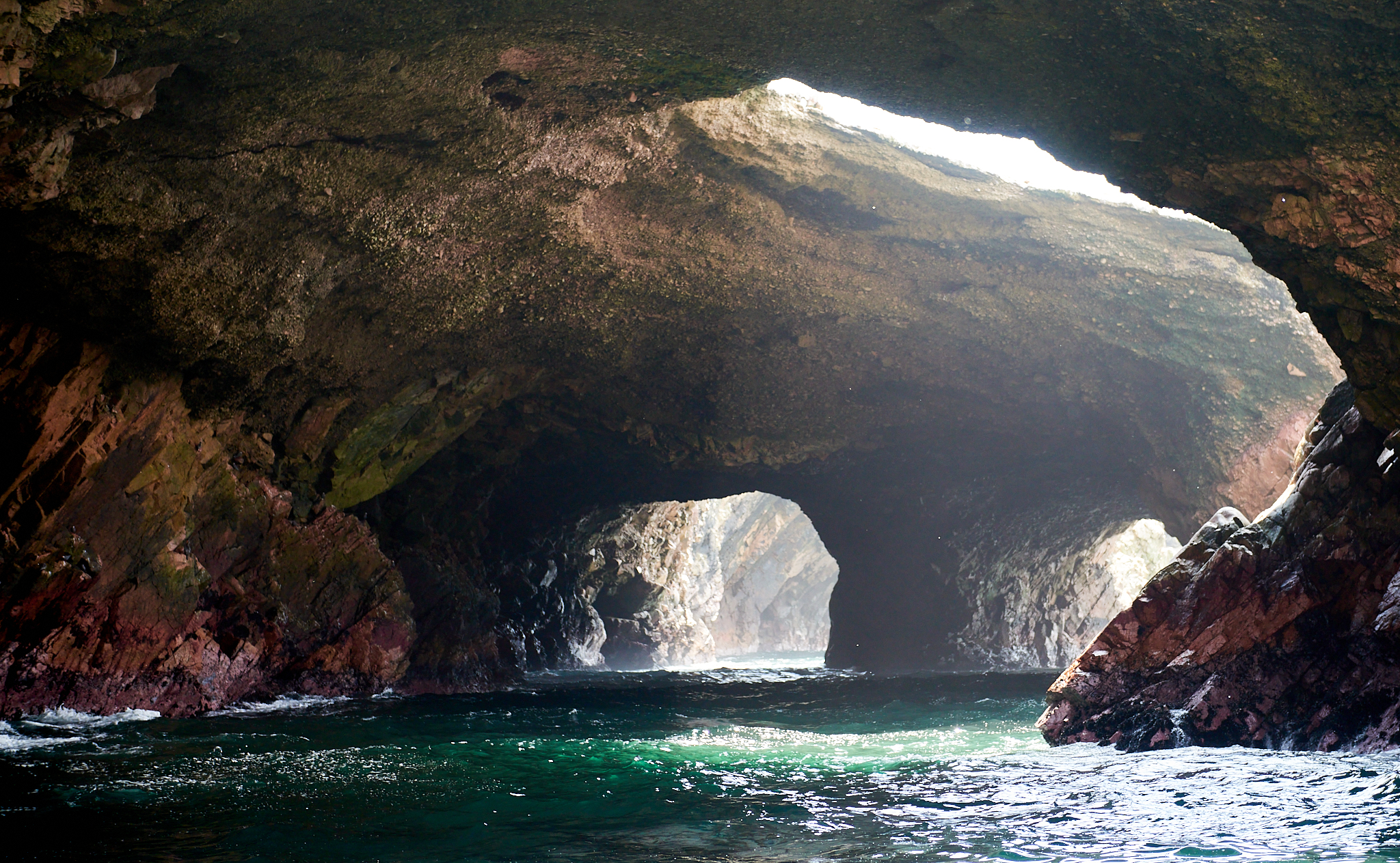 20200304 117 [페루] 바예스타섬